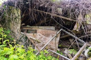 倒壊した畜舎跡だろう