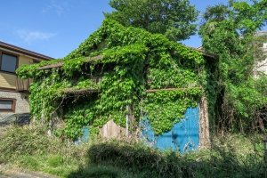 食堂かしわや 廃墟検索地図