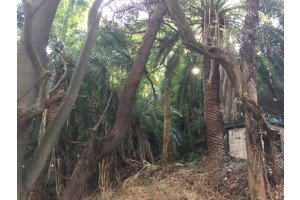 兵庫県の遊園地 テーマパーク 廃墟検索地図