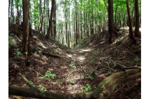 愛知県の廃道 廃墟検索地図