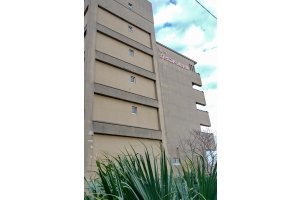 建物は綺麗な状態で管理されている