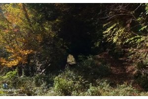 上野ダム付近の素掘り廃隧道