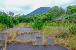 湯ノ山国際スケートリンク 廃墟検索地図