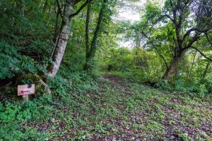 ニコイ大滝付近の遊歩道入口（2024年10月）