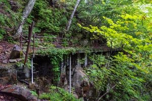 途中から崖の上にコンクリートの道が作られている