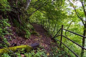 落石で柵が壊れ、かなり劣化している