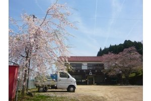 才谷小学校（下市町）（2011年4月）