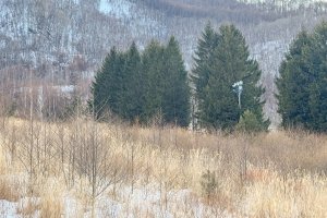 照明設備が残っている