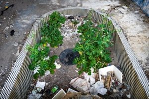 指宿港近くの廃温泉 指宿港近くの廃温泉