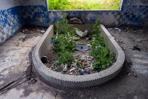 指宿港近くの廃温泉 指宿港近くの廃温泉