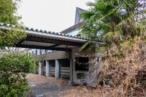 カーテル和合（2019年2月）