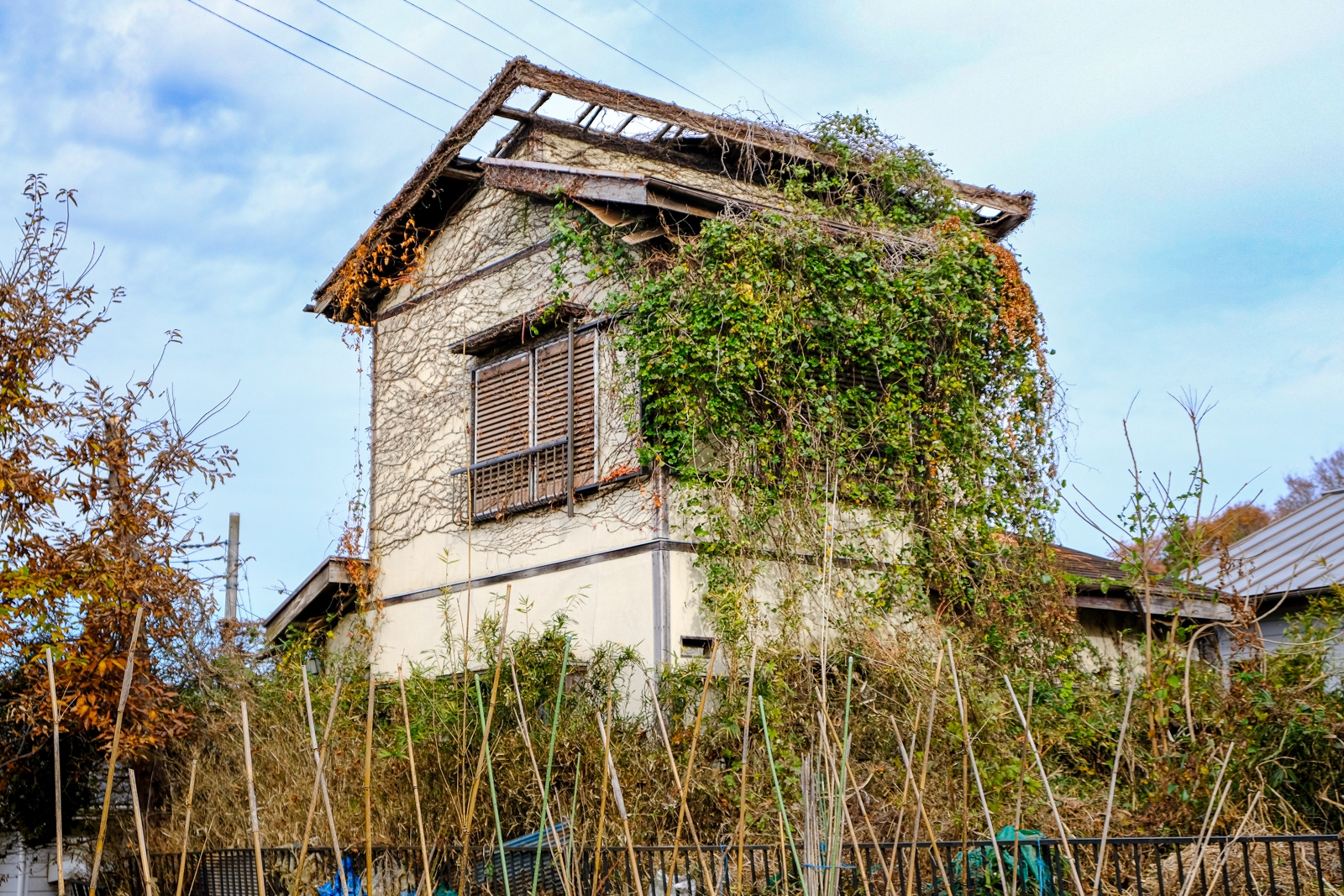 稲敷市犬塚の蔦に覆われた家 廃墟検索地図