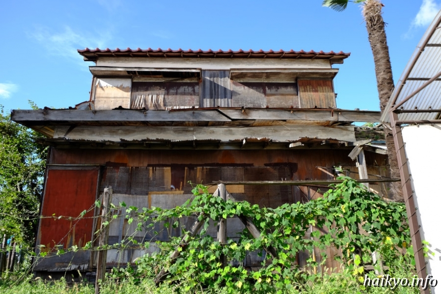 世田谷区桜丘4丁目の家 廃墟検索地図 世田谷区桜丘4丁目の家 廃墟検索地図