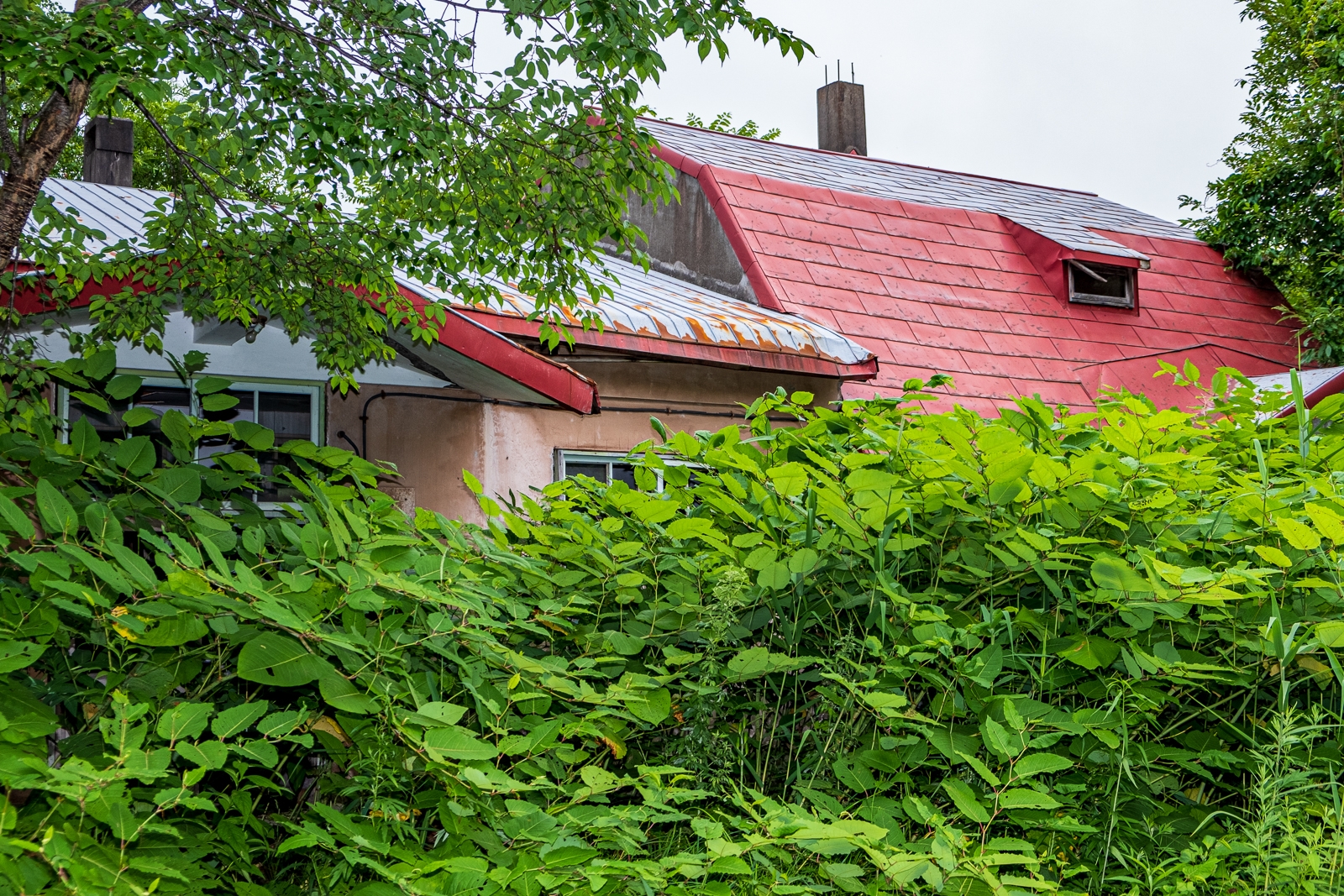 廃校 一覧 廃墟検索地図