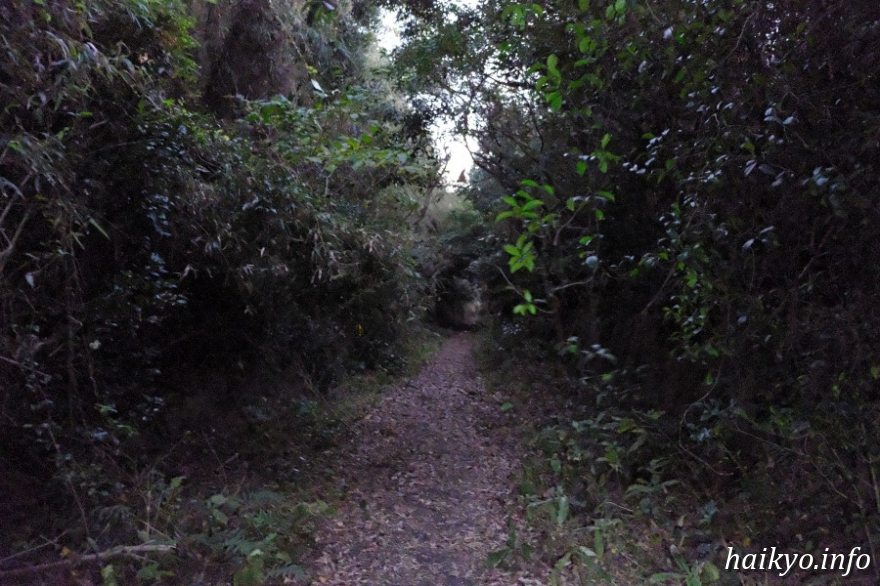 伊古部廃道 廃墟検索地図