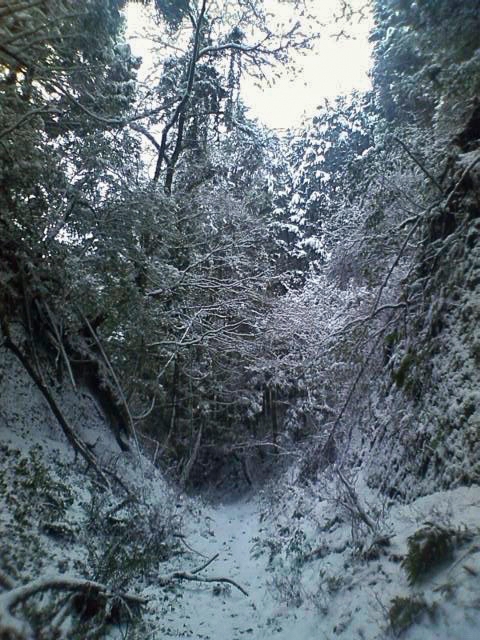 大分県の廃道 廃墟検索地図